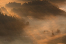 Words of Light