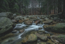 Life is a River Flowing...