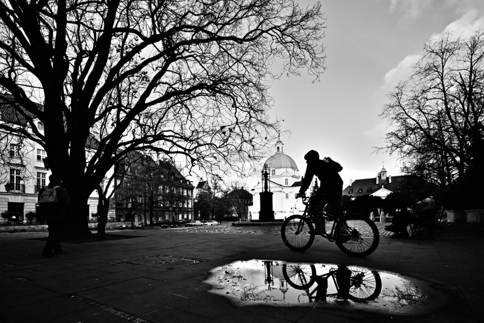 greenhorn - ֍֎.  . Zdjęcie 337167