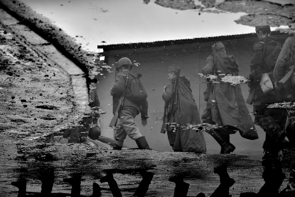 scots - . . Zdjęcie 143996