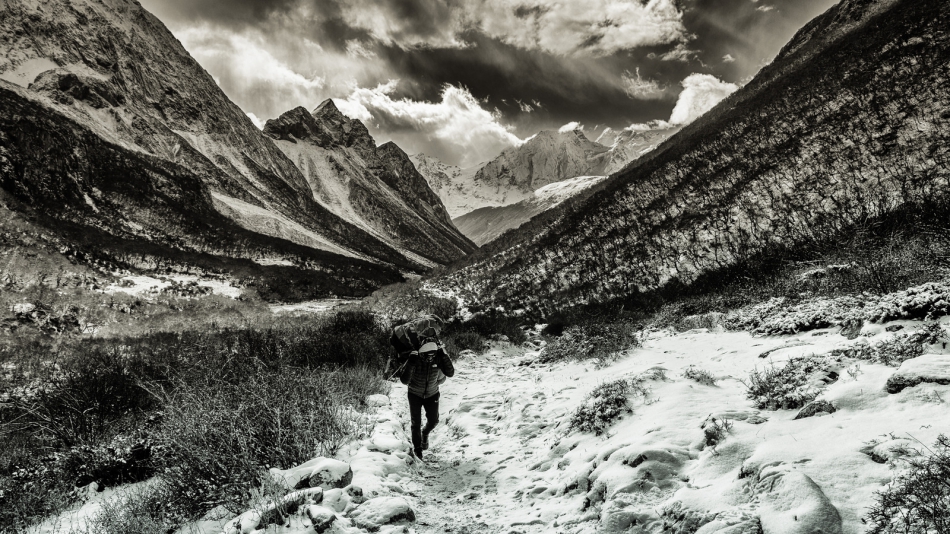 pak76 - . . Zdjęcie 316946