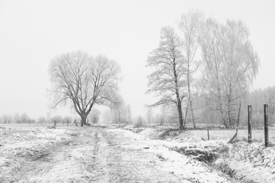 . . Zdjęcie 321152