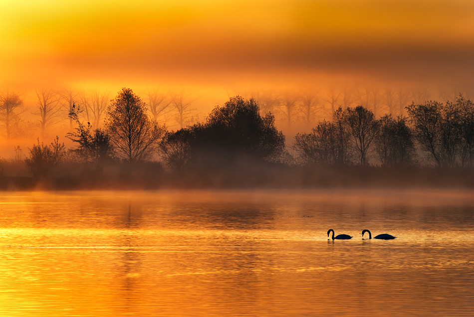 siwypz - *. . Zdjęcie 105653