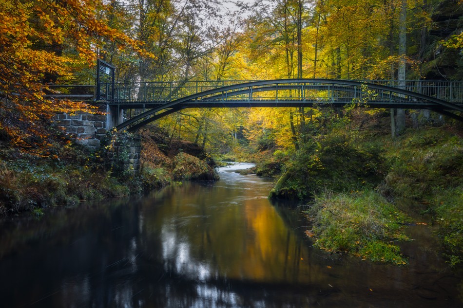 jaskjan - Golden Arch. . Zdjęcie 337861
