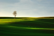 Ucieczka