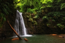 Faial da Terra