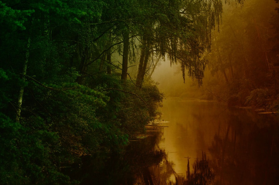 Jacekwski - Magiczny poranek nad rzeką w mglistym lesie. . Zdjęcie 337762