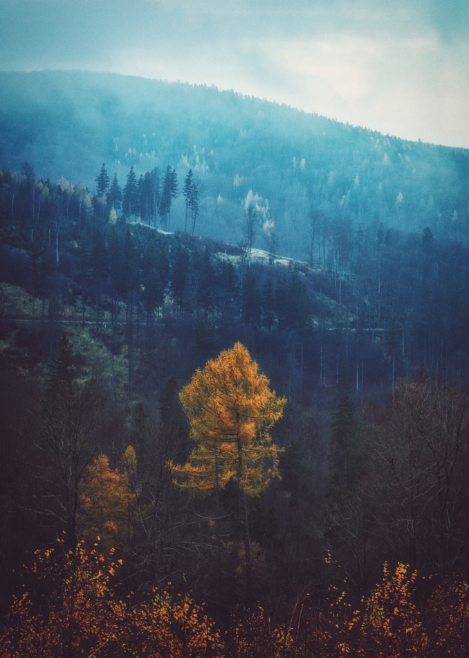 shooter76 - . . Zdjęcie 295948