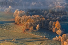 Days of Autumn Trees...