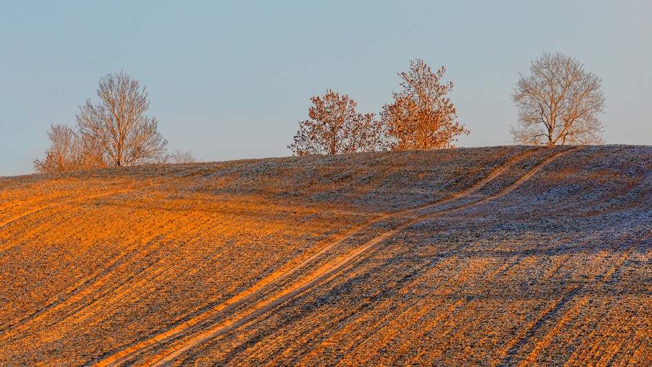 2025.12.25_Warmia. . Zdjęcie 338049