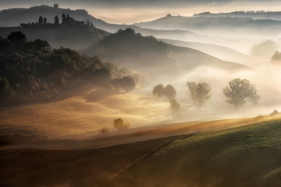 adampa - Land of Fogs. PE. Zdjęcie 233955