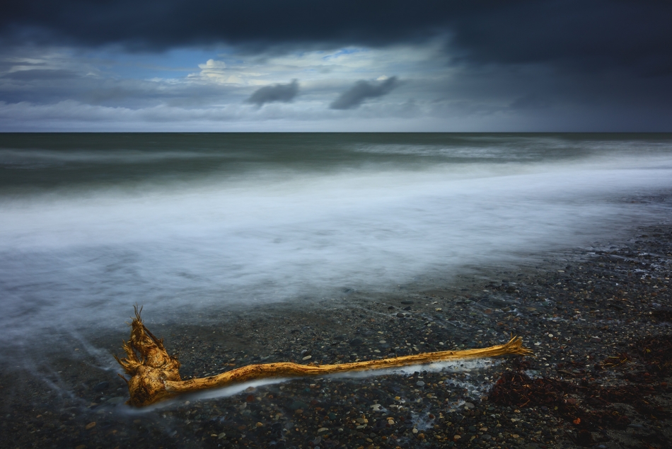 Wyrzucony. . Zdjęcie 336719