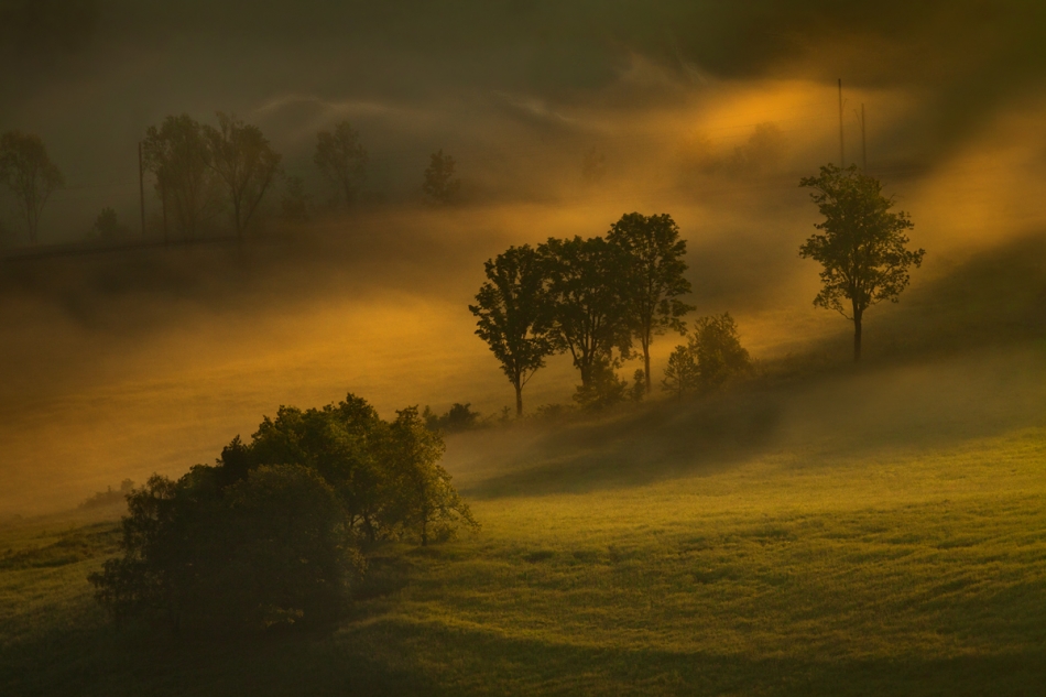 Several Times. . Zdjęcie 108679