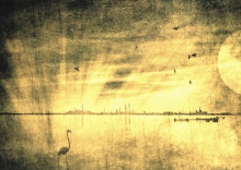 Last Day on Earth...