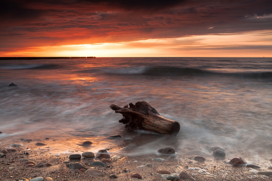 roman53 - . . Zdjęcie 304202