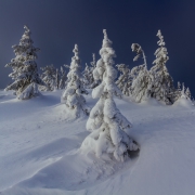 The Winter Blues...