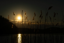 Kujno