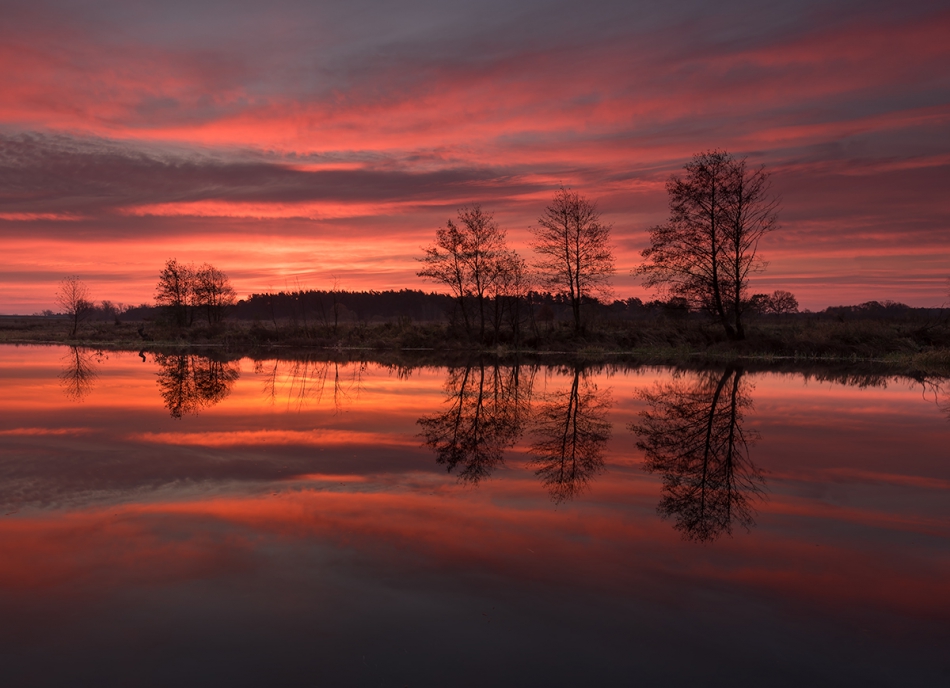 Brak tytułu. . Zdjęcie 206787