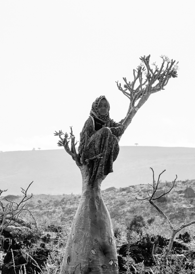 pawello91 - Sokotra. Dziewczynka na drzewie butelkowym. Zdjęcie 323255