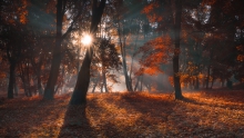 Autumn