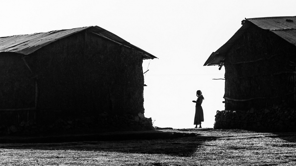 pak76 - . . Zdjęcie 316804