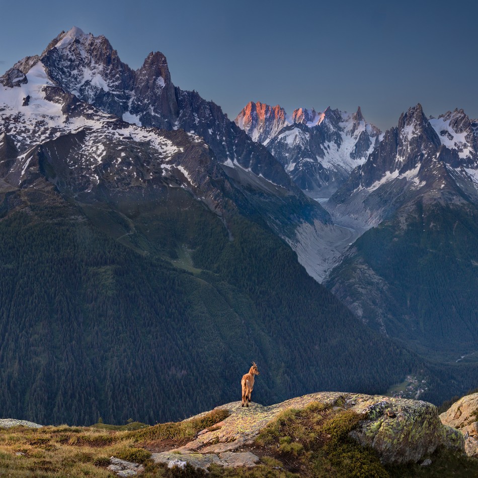 Junior. .. Zdjęcie 339495