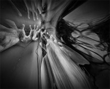 ...visions...
