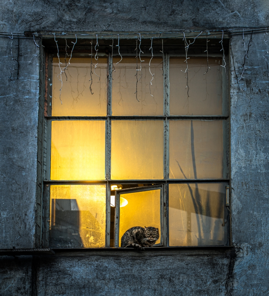 gaco - .... . Zdjęcie 330561