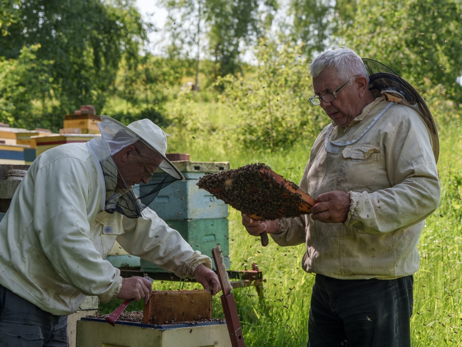 vrgraf - w pracy. . Zdjęcie 333132