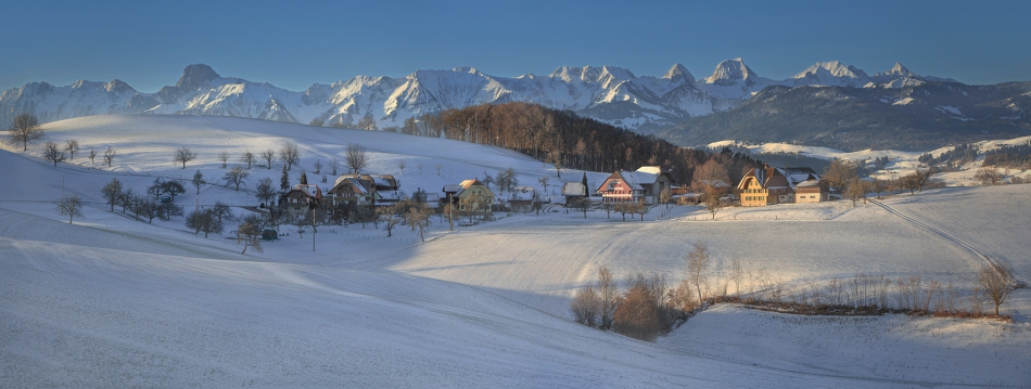 pstryk - . . Zdjęcie 240302