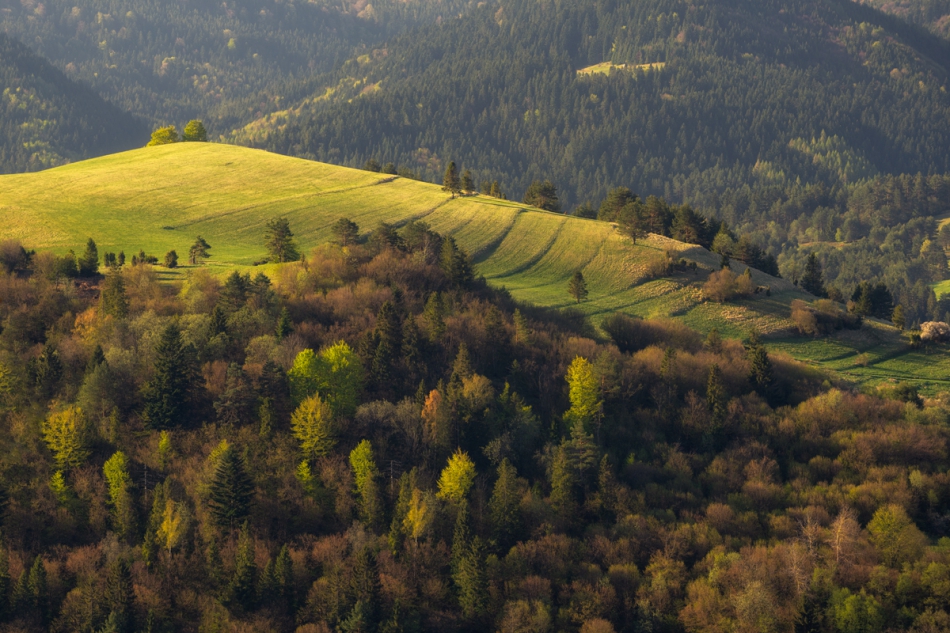 grzegorz - Pieniny. . Zdjęcie 267999