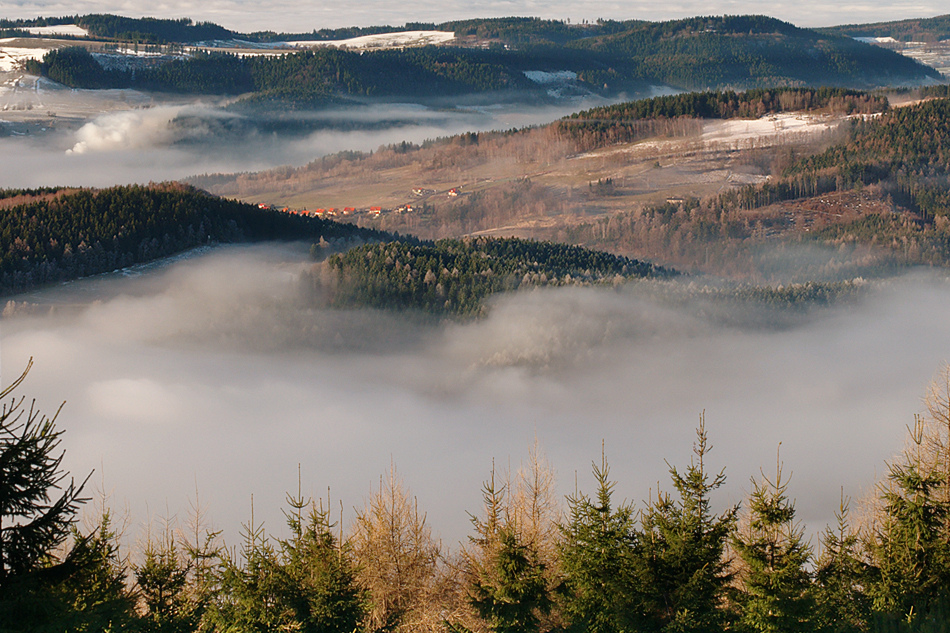 chichote - . . Zdjęcie 114425