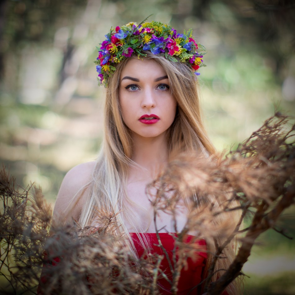 acrux - Seria. . Zdjęcie 337827