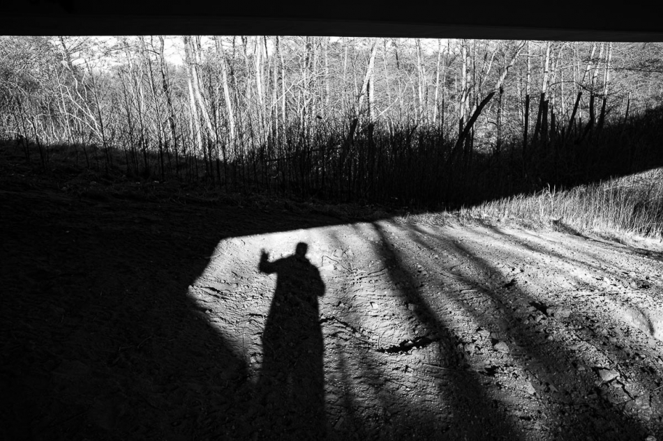 romank - -. . Zdjęcie 330275