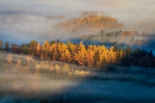 For the Love of Autumn...