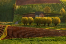 Wierzbice 9