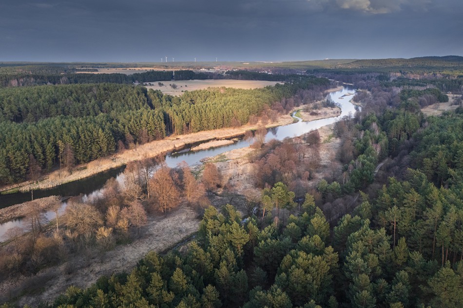 Wczesna wiosna w dolinie Warty. . Zdjęcie 339587