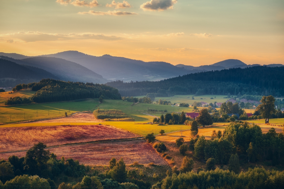 shooter76 - . . Zdjęcie 306979