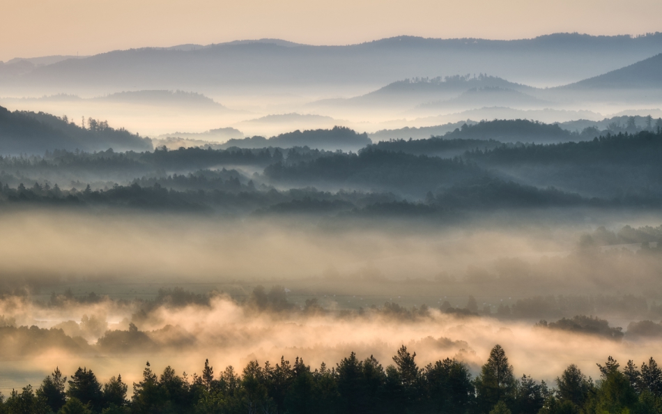 shooter76 - . . Zdjęcie 290779