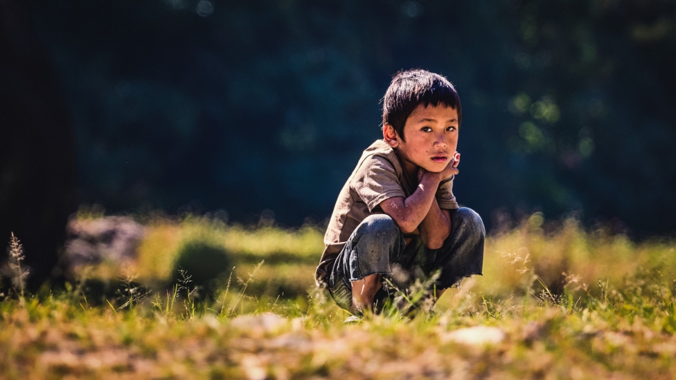 pak76 - . . Zdjęcie 316725