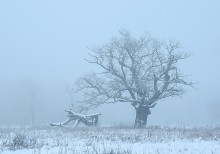 Przemijanie