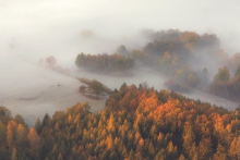 Portrait of Fall
