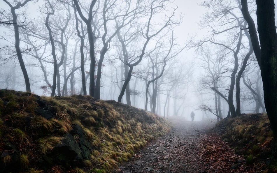 shooter76 - . . Zdjęcie 284130