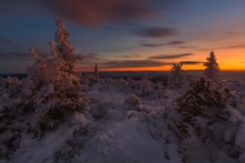 After the Storm...