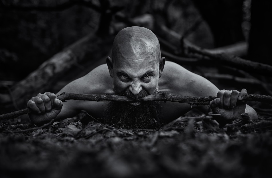 The Anger Archetype. Pomiędzy bodźcem a reakcją jest przestrzeń. W tej przestrzeni tkwi nasza moc wyboru reakcji. W naszej reakcji leży nasz rozwój i nasza wolność. Viktor E. Frankl, Mans Search For Meaning. Zdjęcie 340011