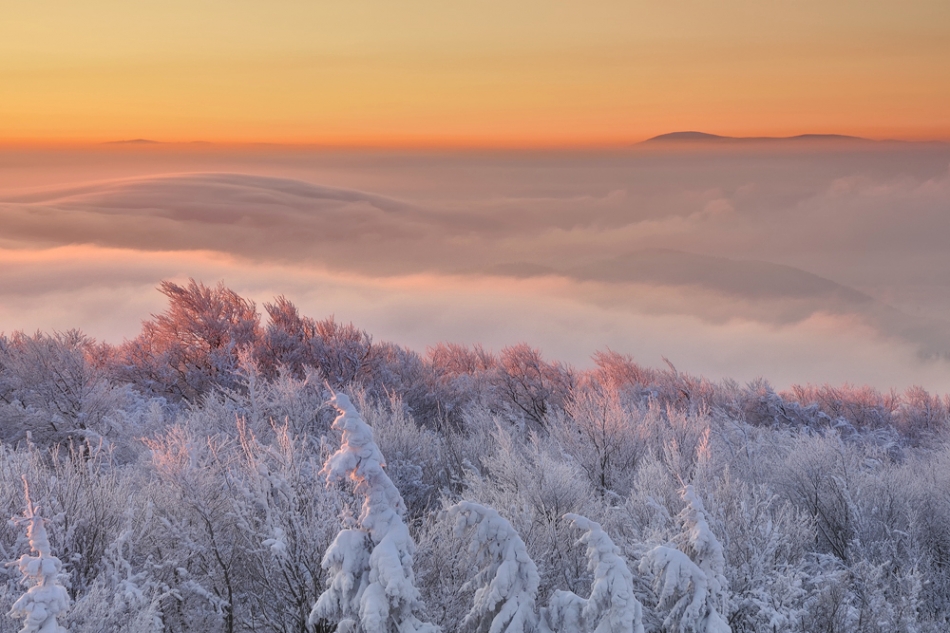  - Chodzi mróz po świecie .... … drzewa szronem muska.    Najmroźniejszy poranek tego roku ...  Na horyzoncie po lewej Pradziad 1491 m n.p.m. po prawej Śnieżnik 1425 m n.p.m.. Zdjęcie 51634