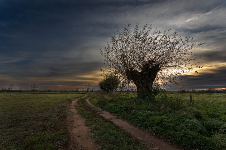 Pejzaż 1. . Zdjęcie 338502