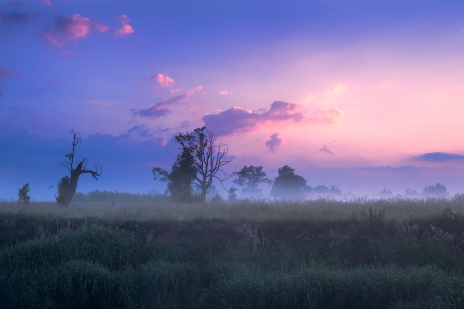 Brak tytułu. . Zdjęcie 251057