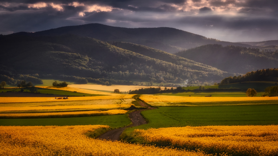 shooter76 - . . Zdjęcie 289230