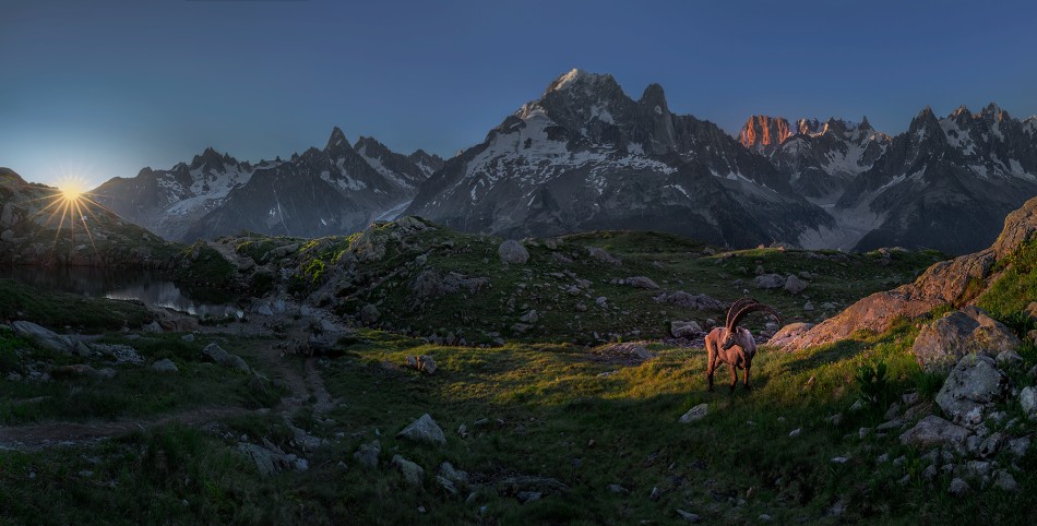 Alpy. . Zdjęcie 338552